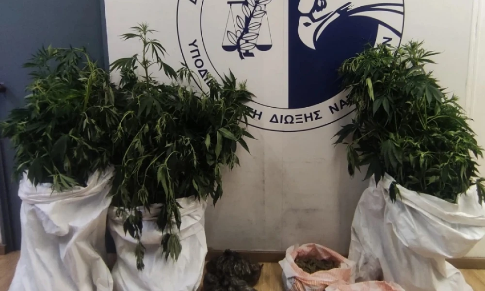 42χρονος είχε εργαστήριο κάνναβης στο σπίτι του στο Ίλιον- Κατασχέθηκαν 22 δενδρύλλια